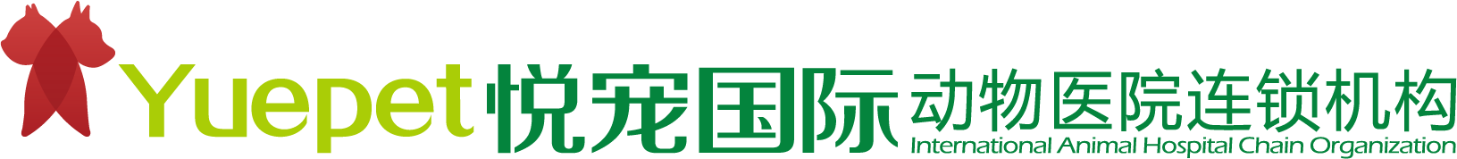 悦宠国际